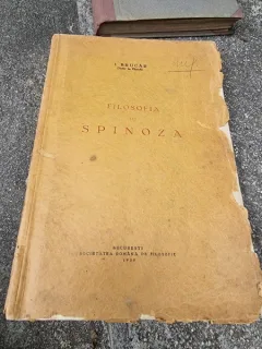 I. Brucar - Filosofia lui Spinoza