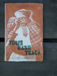 I.I.MIRONESCU - TULIE RADU TEACA