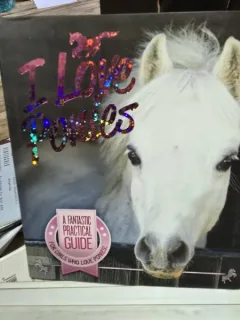 I Love Ponies - Sandy Ransford