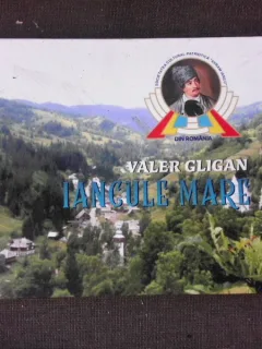 Iancule Mare - Valer Gligan  album