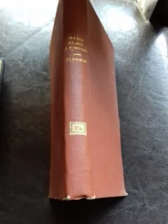 ILDERIM. POVESTE IN UMBRA SI LUMINA - MARIA REGINA ROMANIEI   VOL.3