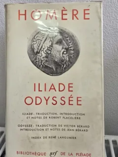 Iliade, Odyssee - Homere