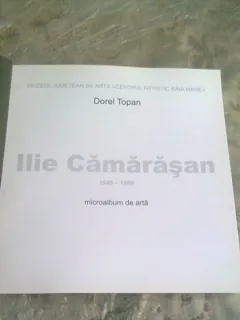 ILIE CAMARASAN, MICROALBUM DE ARTA - DOREL TOPAN