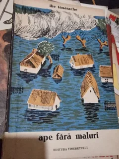 Ilie Tanasache - Ape fara maluri