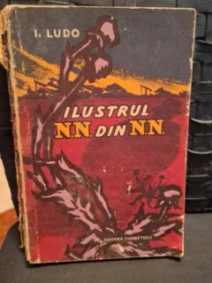 Ilustrul N.N. din N.N. - I.Ludo