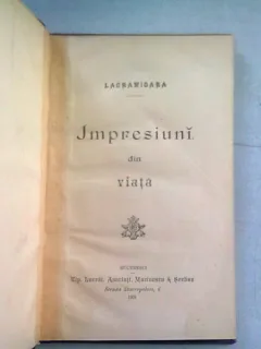 IMPRESIUNI DIN VIATA
