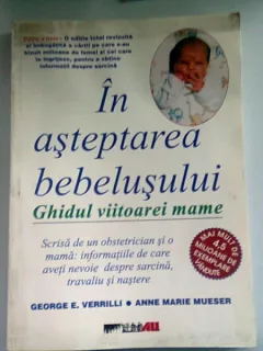IN ASTEPTAREA BEBELUSULUI. GHIDUL VIITOAREI MAME
