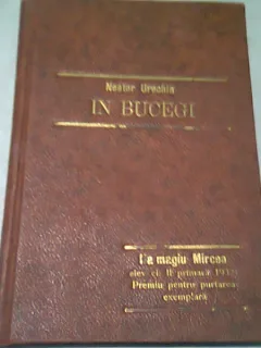 IN BUCEGI - NESTOR URECHIA