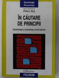 In cautare de principii - Petru Ilut