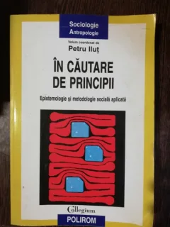 IN CAUTARE  DE PRINCIPII - PETRUT ILUT