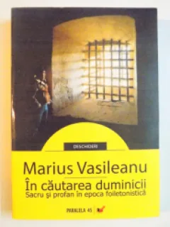 IN CAUTAREA DUMINICII - MARIUS VASILEANU