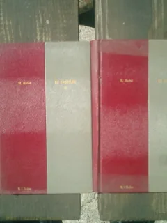 In familie 2 volume - H. Malot