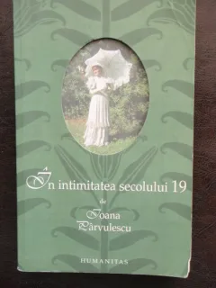 IN INTIMITETEA SECOLULUI 19 - IOANA RARVULESCU