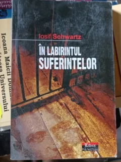 In Labirintul Suferintelor