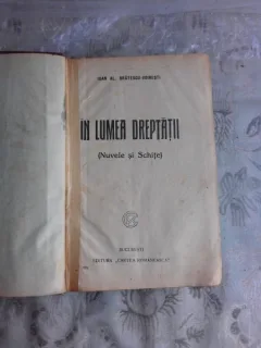 IN LUMEA DREPTATII - IOAN AL.BRATESCU VOINESTI