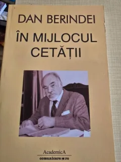 In mijlocul cetatii - Dan Berindei