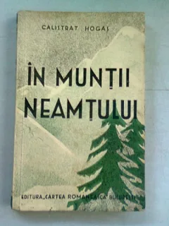 IN MUNTII NEAMTULUI - CALISTRAT HOGAS