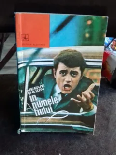 IN NUMELE FIULUI - HERVE BAZIN