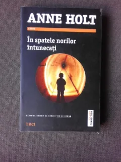 IN SPATELE NORILOR INTUNECATI - ANNE HOLT