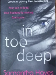 In too deep - Samantha Hayes
