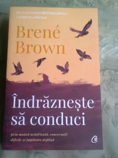 INDRAZNESTE SA CONDUCI - BRENE BROWN