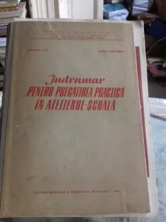 INDRUMAR PENTRU PREGATIREA PRACTICA IN ATELIERUL SCOALA - GIRLEANU LUCA