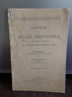 INDRUMARE IN ANALIZA PIROGNOSTICA - G. MURGOCI