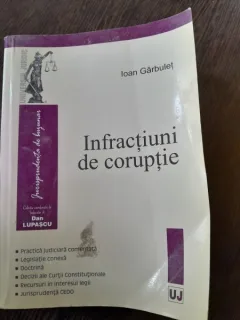 Infractiuni de Coruptie  - Ioan Garbulet