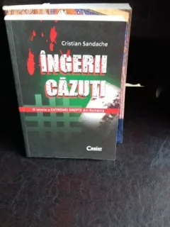 INGERII CAZUTI - CRISTIAN SANDACHE