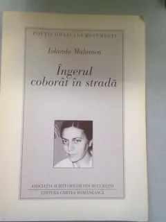 INGERUL COBORAT IN STRADA - IOLANDA MALAMEN