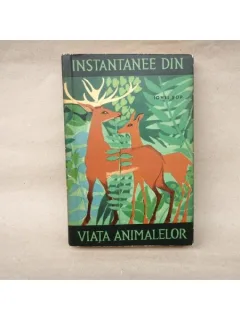 Instantanee din viata animalelor , Ionel Pop , 1964