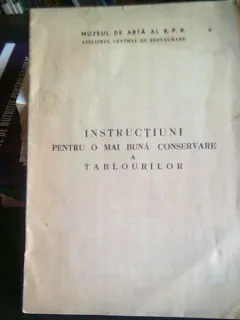 INSTRUCTIUNI PENTRU O MAI BUNA CONSERVARE A TABLOURILOR