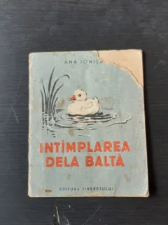 INTAMPLAREA DE LA BALTA - ANA IONITA