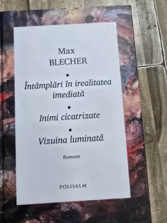 Intamplari in irealitatea imediata. Inimi cicatrizate. Vizuina luminata - Max Blecher