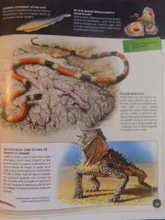 INTAMPLARI UIMITOARE DIN LUMEA ANIMALELOR , 2011