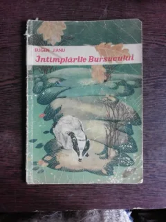 INTAMPLARILE BURSUCULUI - EUGEN JIANU