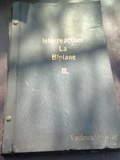 INTERACTIUNI LA BIPLANE III - VASILESCU OCTAVIAN