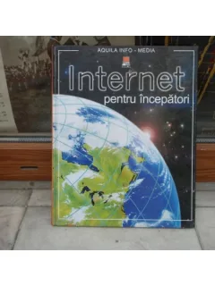 Internet pentru incepatori , Philippa Wingate