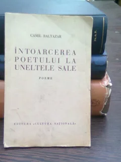 Intoarcerea poetului la uneltele sale - Camil Baltazar
