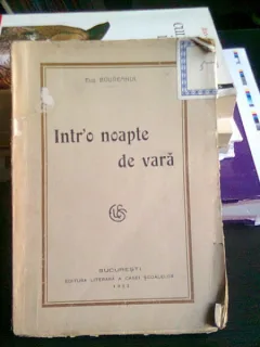 INTR-O NOAPTE DE VARA - EUG. BOUREANU
