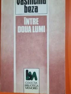 Intre doua lumi - Vasilichia Beza