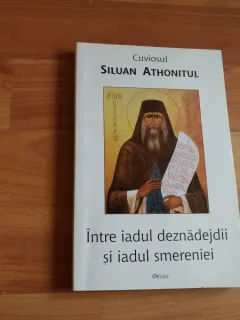 INTRE IADUL DEZNADEJDII SI IADUL SMERENIEI-CUVIOSUL SILUAN ATHONITUL