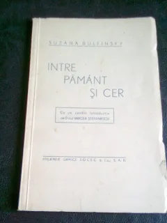 INTRE PAMANT SI CER - SUZANA BULFINSKY