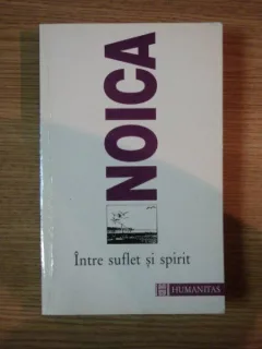 INTRE SUFLET SI SPIRIT DE CONSTANTIN NOICA