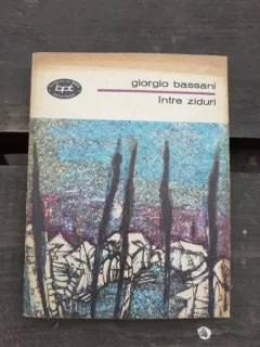 INTRE ZIDURI - GIORGIO BASSAN