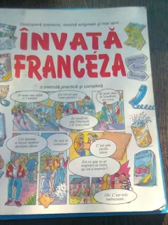 INVATA FRANCEZA. O METODA PRACTICA SI COMPLETA - NICOLE IRVING