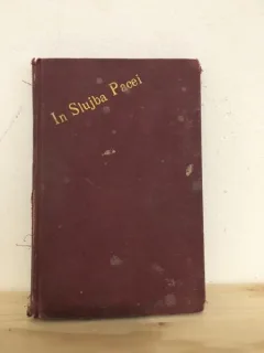 Ioan Al. Bratescu-Voinesti - In Slujba Pacei (scrisori)