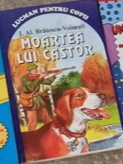 Ioan Alexandru Bratescu Voinesti - Moartea lui Castor