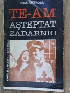 Ioan Ambrosa - Te-am asteptat zadarnic