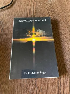 Ioan Buga - Fiinta injunghiata. Incercari de synontologie